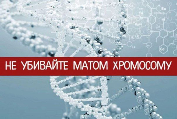 Не убивайте матом хромосому!