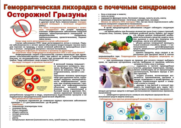 Геморрагическая лихорадка с почечным синдромом. Профилактика