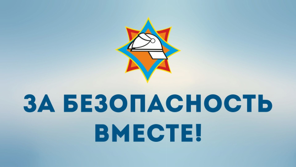 Со 2 по 18 марта 2026 года в Полоцком районе пройдет профилактическая акция «За безопасность вместе»